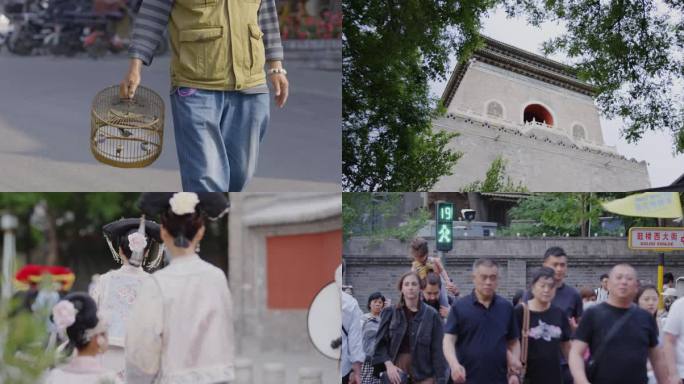 老北京人文胡同生活光影 鸽子文化