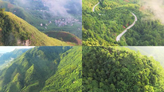 大山 绿美 日出云海 高山日出