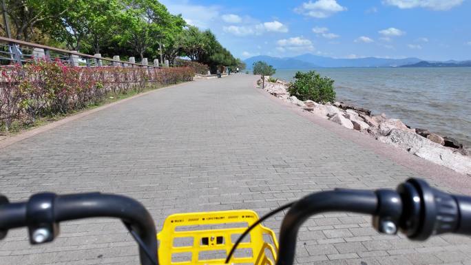 深圳湾海边骑车2