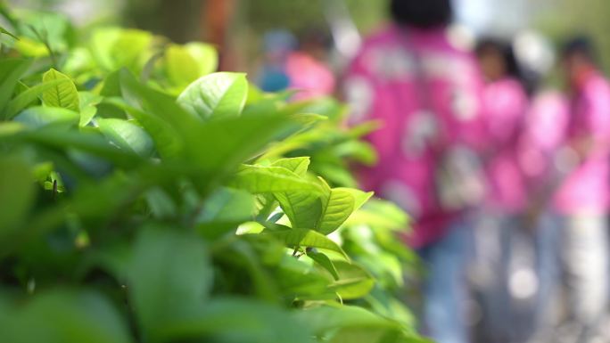 小学生春游及春游人群