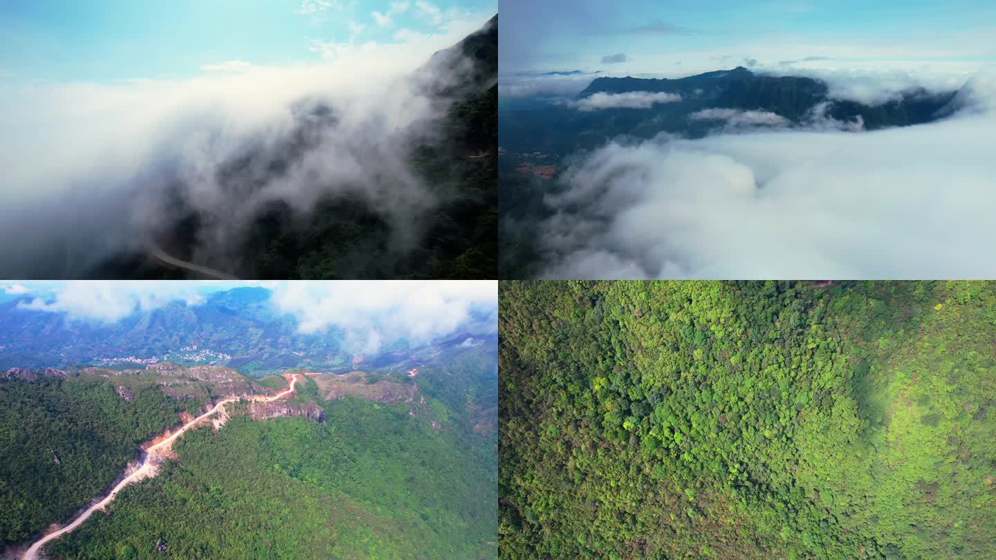 森林 大山 山川日出  榕大公路