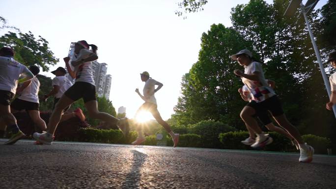 阳光跑步 一群人迎着晨光跑步锻炼城市运动