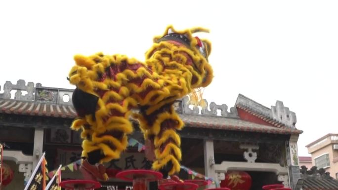 中国传统文化舞狮贺岁（合集）