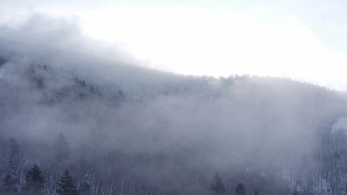 航拍吉林省吉林市永吉北大湖滑雪场雪景全景