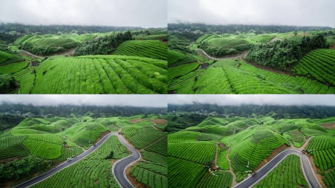 航拍山区云雾袅绕的茶山4K