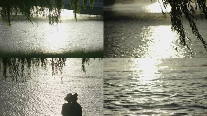 夕阳黄昏微风柳树湖面水面波光粼粼视频素材