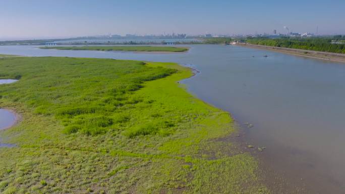 杭州钱塘大湾区湿地公园上集