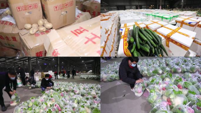 中国的抗疫物资蔬菜食品（合集）