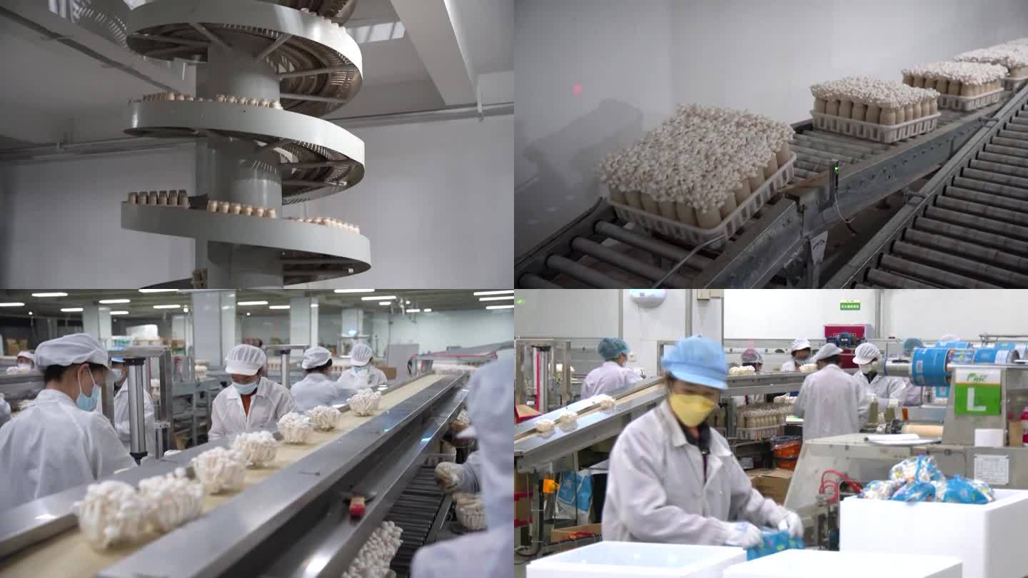中国农产品食品加工厂内部生产（选编）