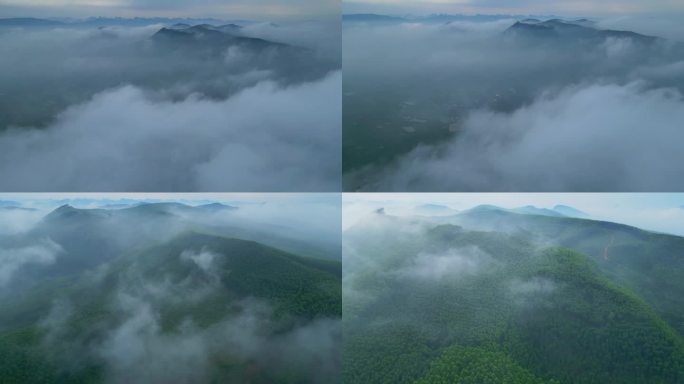 云海飞机航拍树林森林绿色树木云雾缭绕
