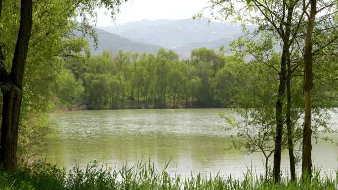 夏天小路湖泊草地空镜