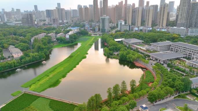 湖北武汉东湖听涛景区航拍自然风光生态旅游