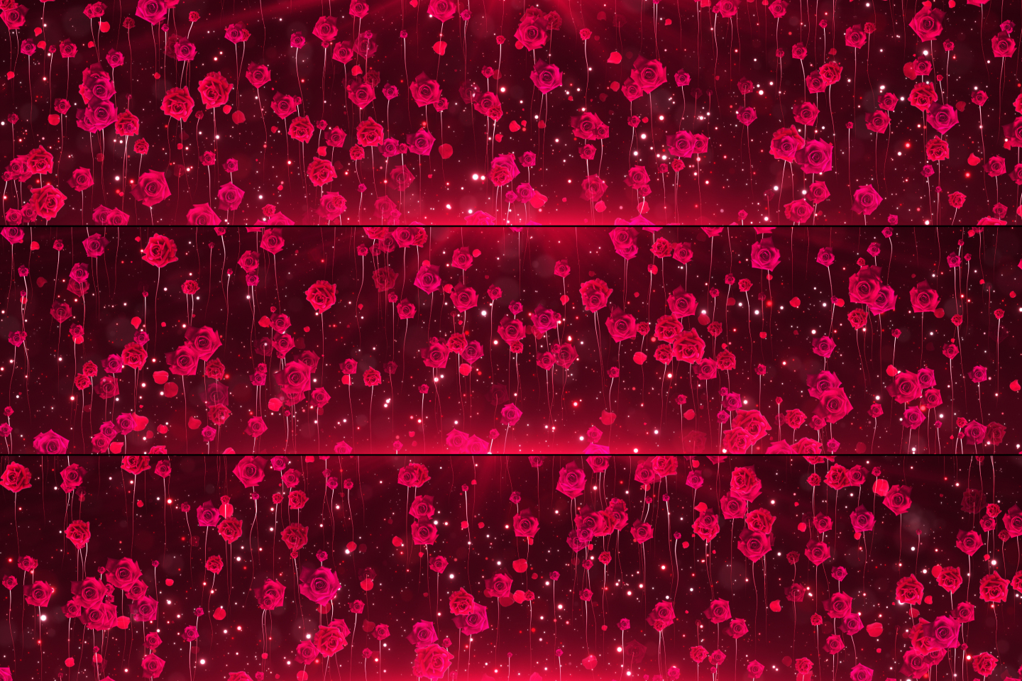 8k超宽屏浪漫红色玫瑰花舞台背景