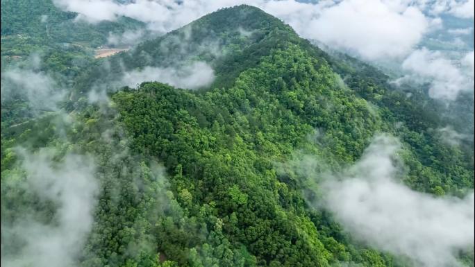 信宜森林 大山  延时