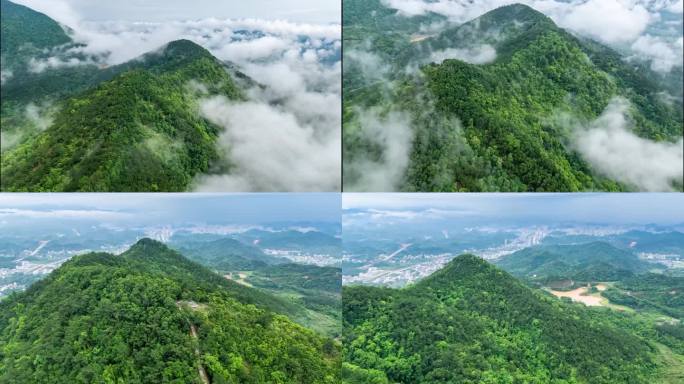 信宜森林 大山  延时