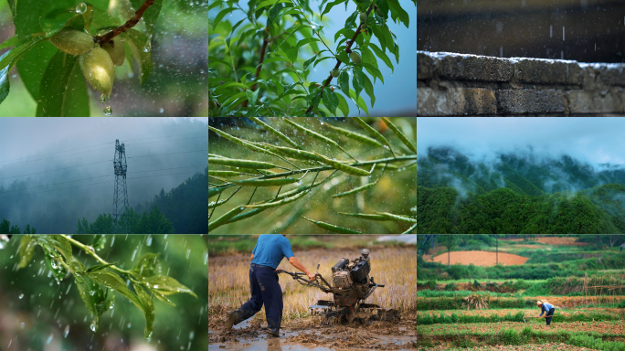 春耕时节雨水清明云雾乡村意境