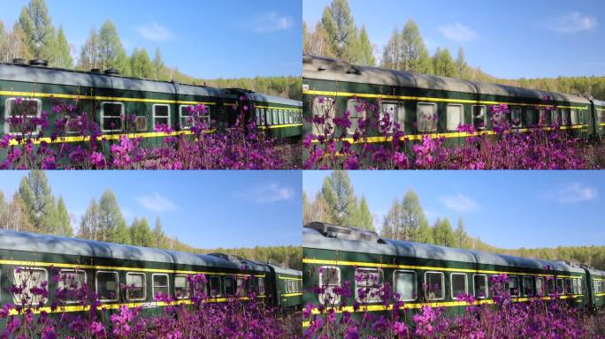 4k摄影开往冷极春天的绿皮火车窗外映山红