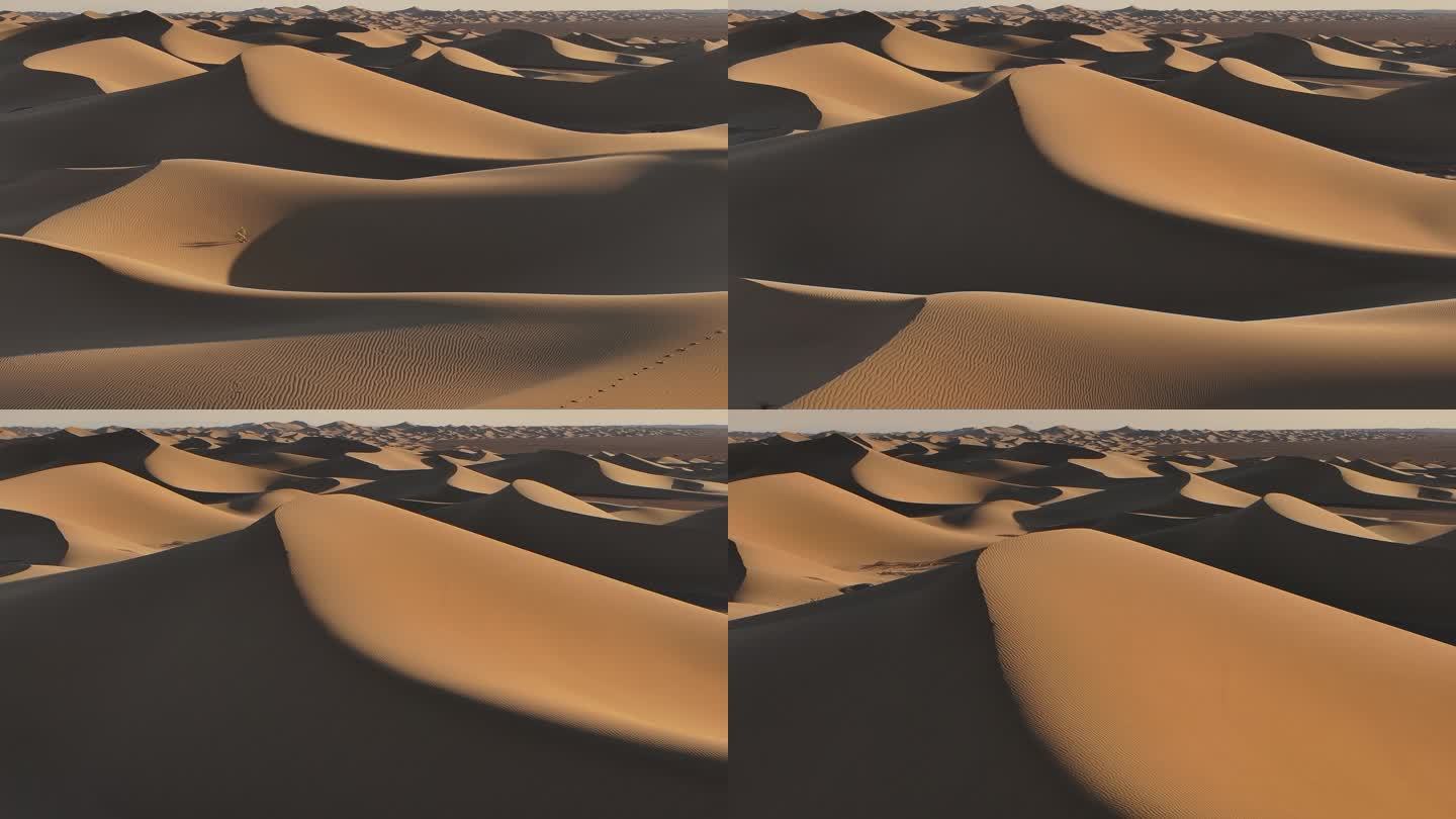 沙漠  沙漠光影  沙丘