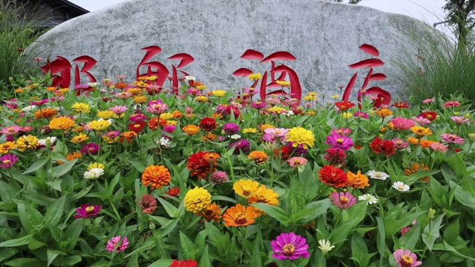 郊野公园邯郸酒店门口的花及酒店名称
