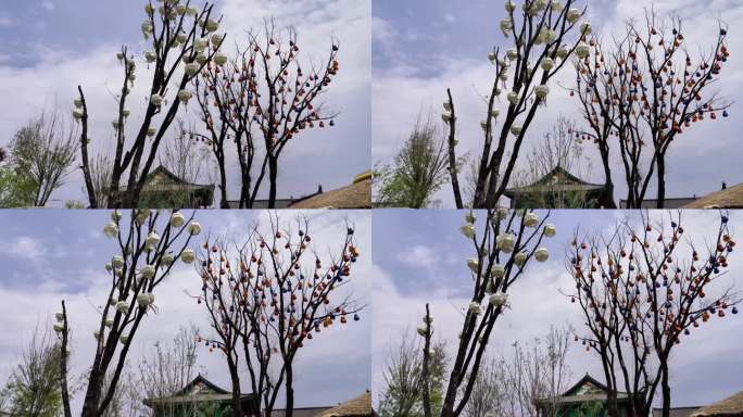 朝鲜族福袋树