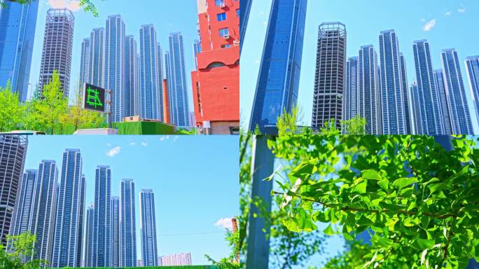 银杏叶建筑群蓝天绿叶4K视频素材