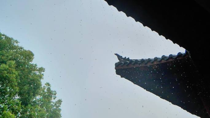 屋檐 雨 农村老屋