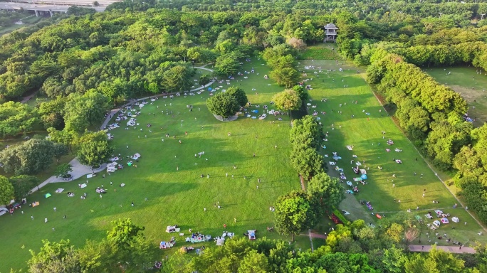 深圳南山大沙河公园航拍