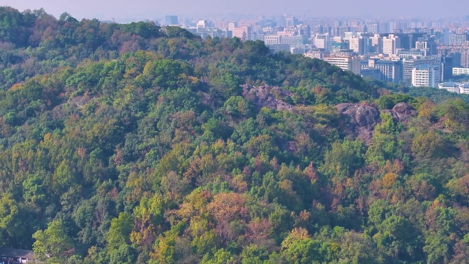 浙江杭州西湖景区宝石山保俶塔航拍北山街素