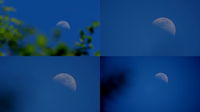 初月 玄月 月牙 月亮 白天的月