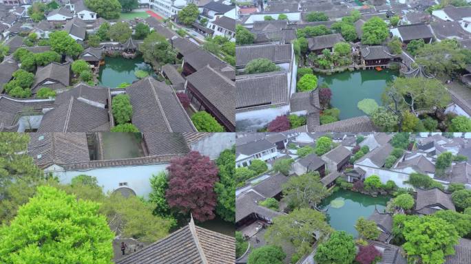 夏天细雨苏州江南姑苏古典园林网师园风景