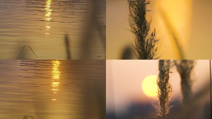 湖畔黄昏日落水面波光粼粼意境空镜视频素材