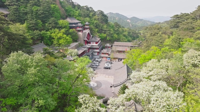 辽宁鞍山千山景区五龙宫梨花-29