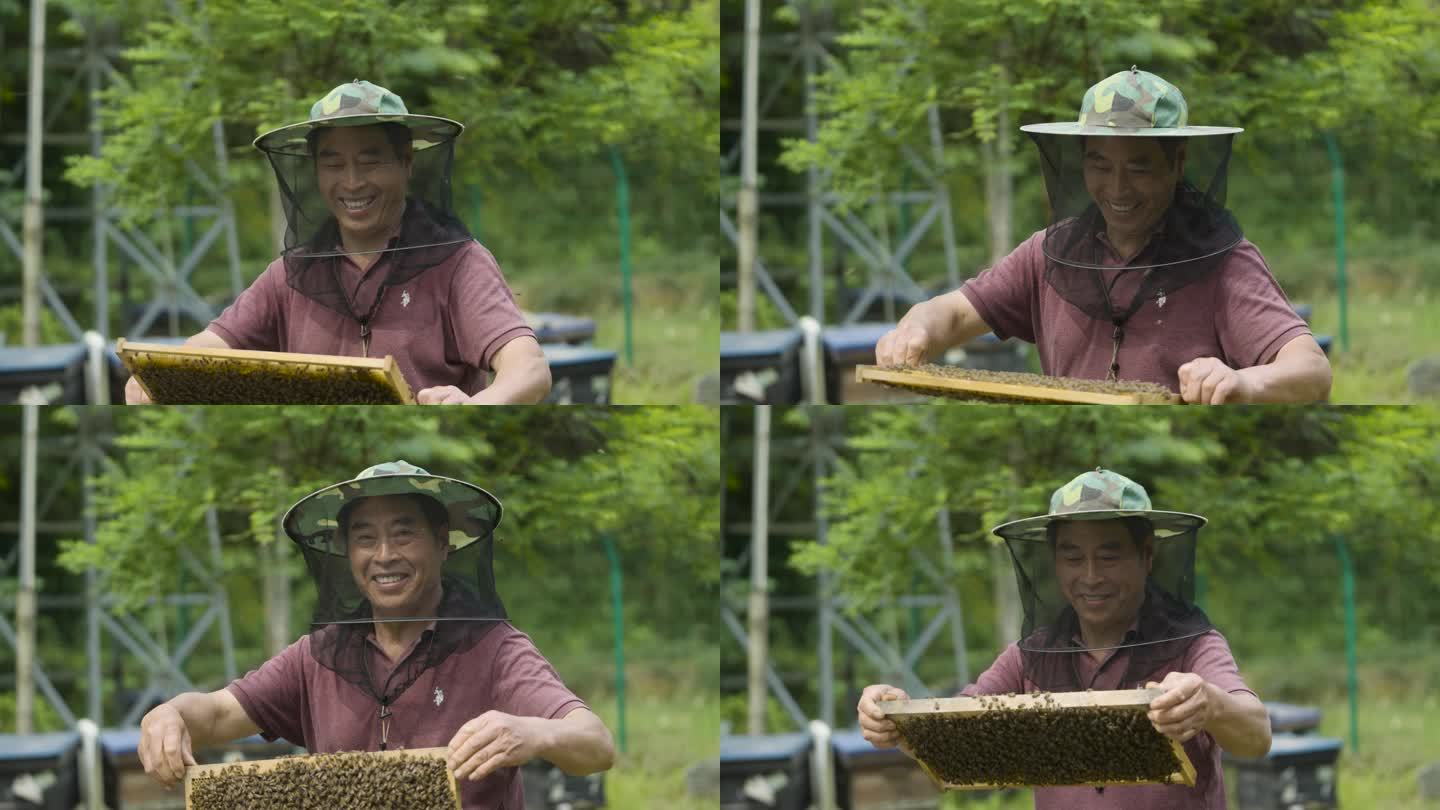 蜂农的笑脸
