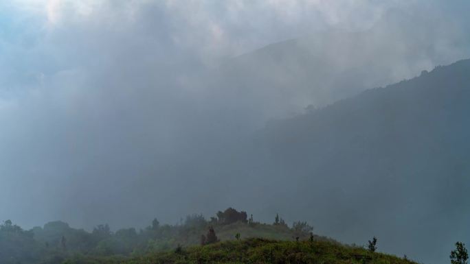 森林大山 绿水清山