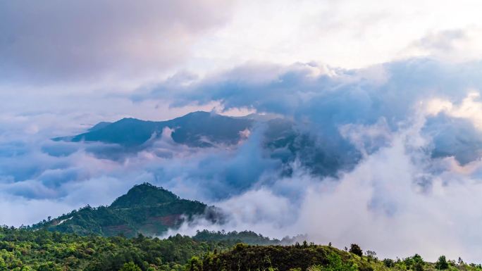 森林 大山 日出延时 日出 日落 延时