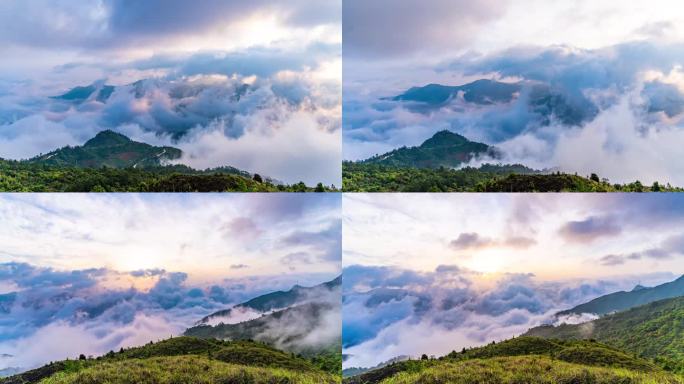 森林 大山 日出延时 日出 日落 延时