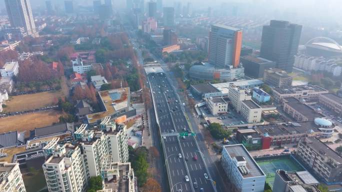 上海杨浦区邯郸路航拍车流马路道路大柏树立