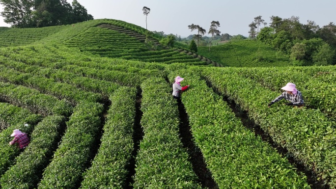 信阳茶山航拍