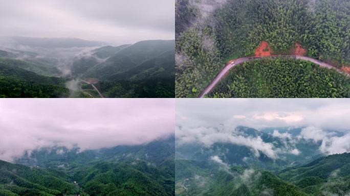 （合集）广西山区竹林竹海竹山云海延时