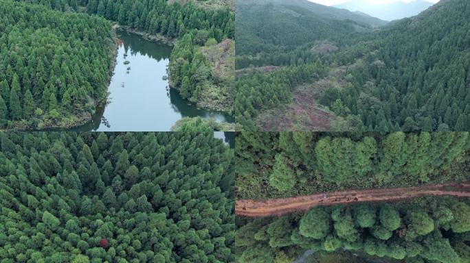 森林 大山 大雾岭