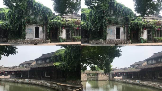 江南水乡被绿植覆盖的房子和小桥流水