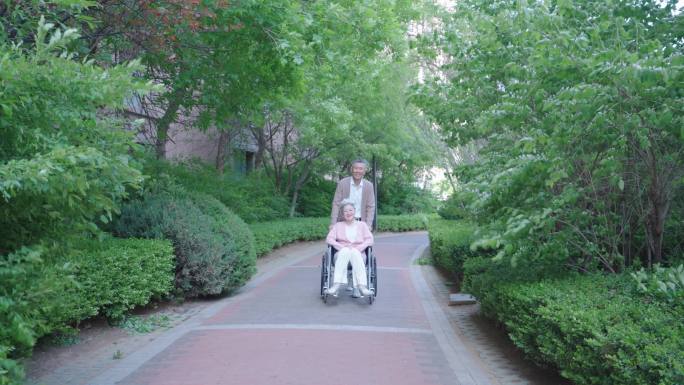 轮椅 坐轮椅 推轮椅