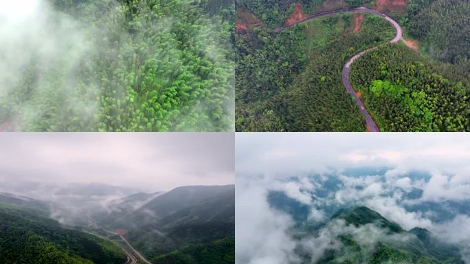 （合集）广西山区竹林竹海竹山云海延时