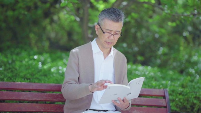 退休生活 长椅 公园 读书