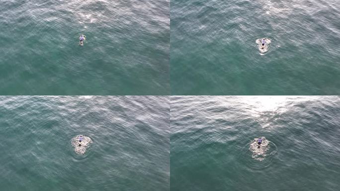 冲浪划水升格影像