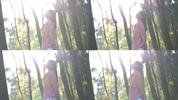阳光下美女站在森林里感受自然的女孩抬头看