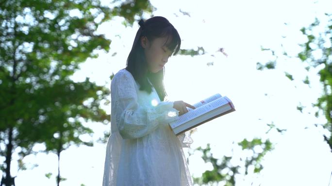 阳光草坪看书的女孩
