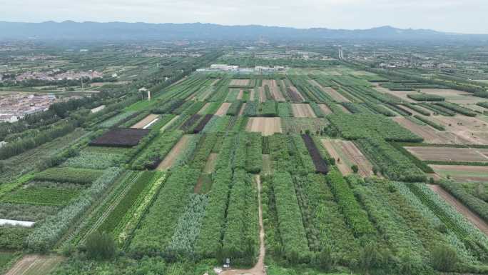 扶风县田野庄稼4k航拍