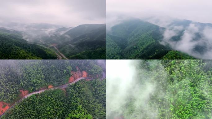 （延时合集）广西山区竹林竹海竹山云海