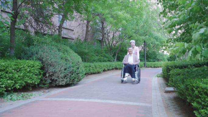 老人坐轮椅 户外老人